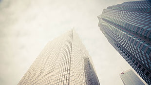 white and gray area rug, building, sky