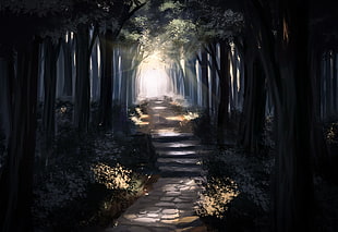 pathway surrounded by trees painting HD wallpaper