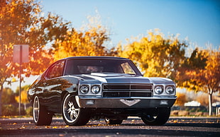 gray coupe, car, trees, road, Chevelle SS