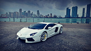 Lamborghini Aventador, car, white cars, cityscape