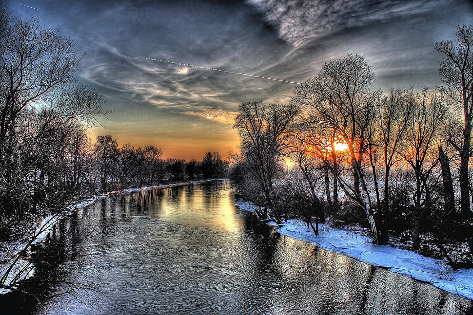 river between bare trees during golden hour HD wallpaper