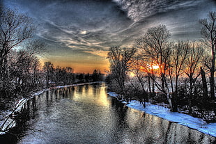 river between bare trees during golden hour