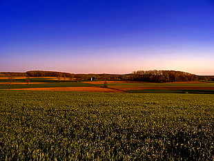 landscape photography of field with trees during daytime