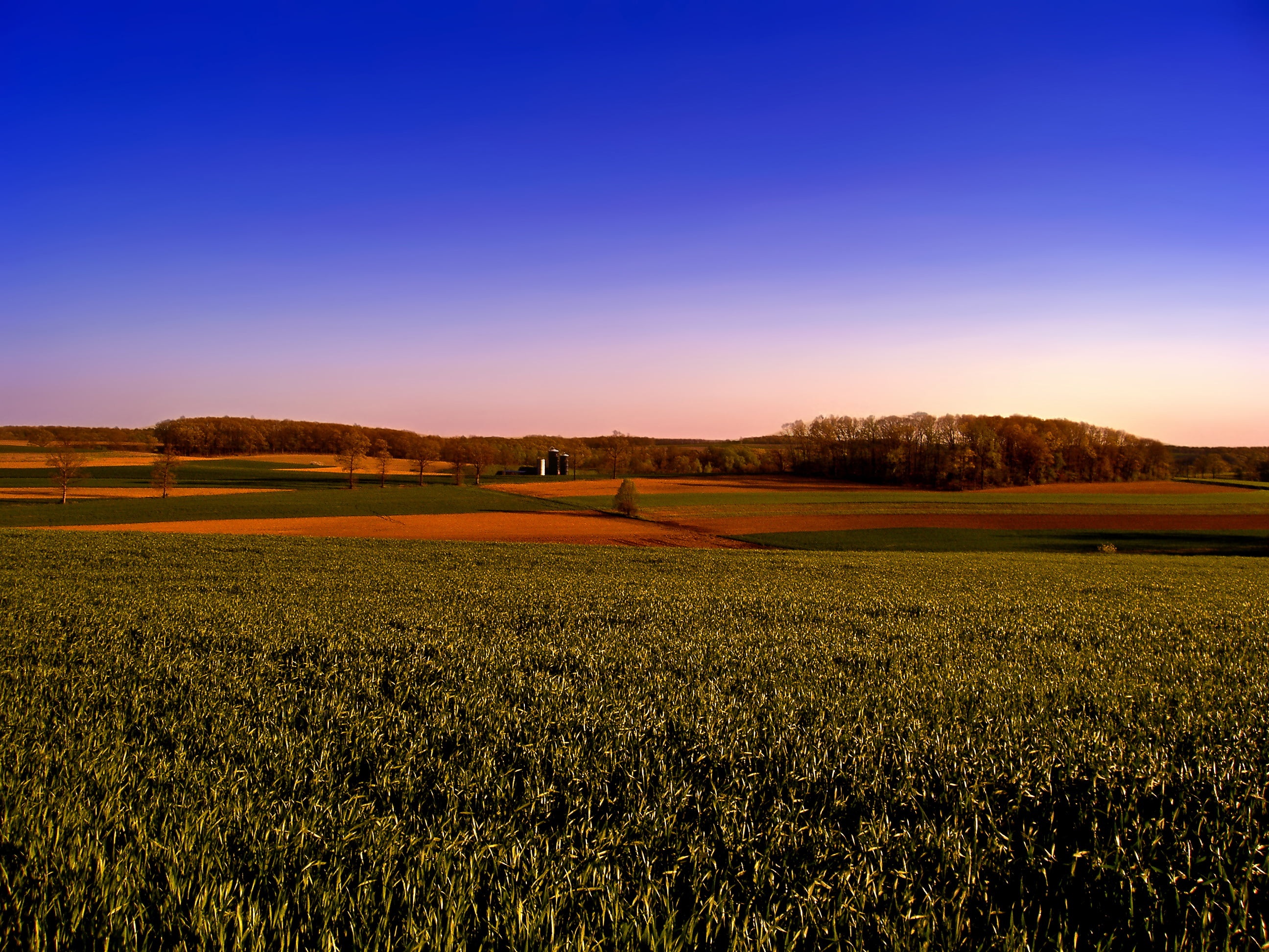 Landscape Photography Of Field With Trees During Daytime Hd Wallpaper