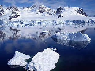 ice bergs on body of water during day time