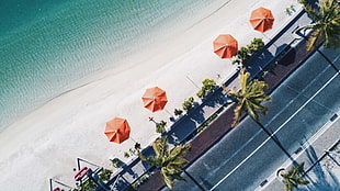 aerial view of orang parasols on seashore, beach, beach umbrella, road, palm trees HD wallpaper