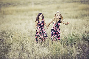 photo of two girls in field HD wallpaper