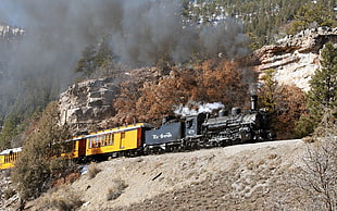 black and yellow locomotive train, train, vintage, steam locomotive, nature HD wallpaper