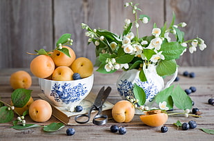 yellow unripe apples in white and blue floral ceramic bowls
