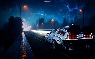 silver DMC Delorean illustration, Back to the Future, DeLorean, street, night HD wallpaper