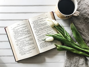 white petaled flower, Book, Tulips, Coffee
