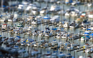 selective focus photography of yachts HD wallpaper