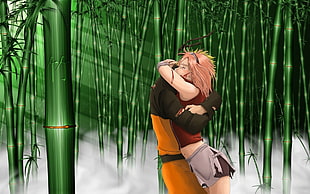 Sakura hugging Naruto at bamboo forest