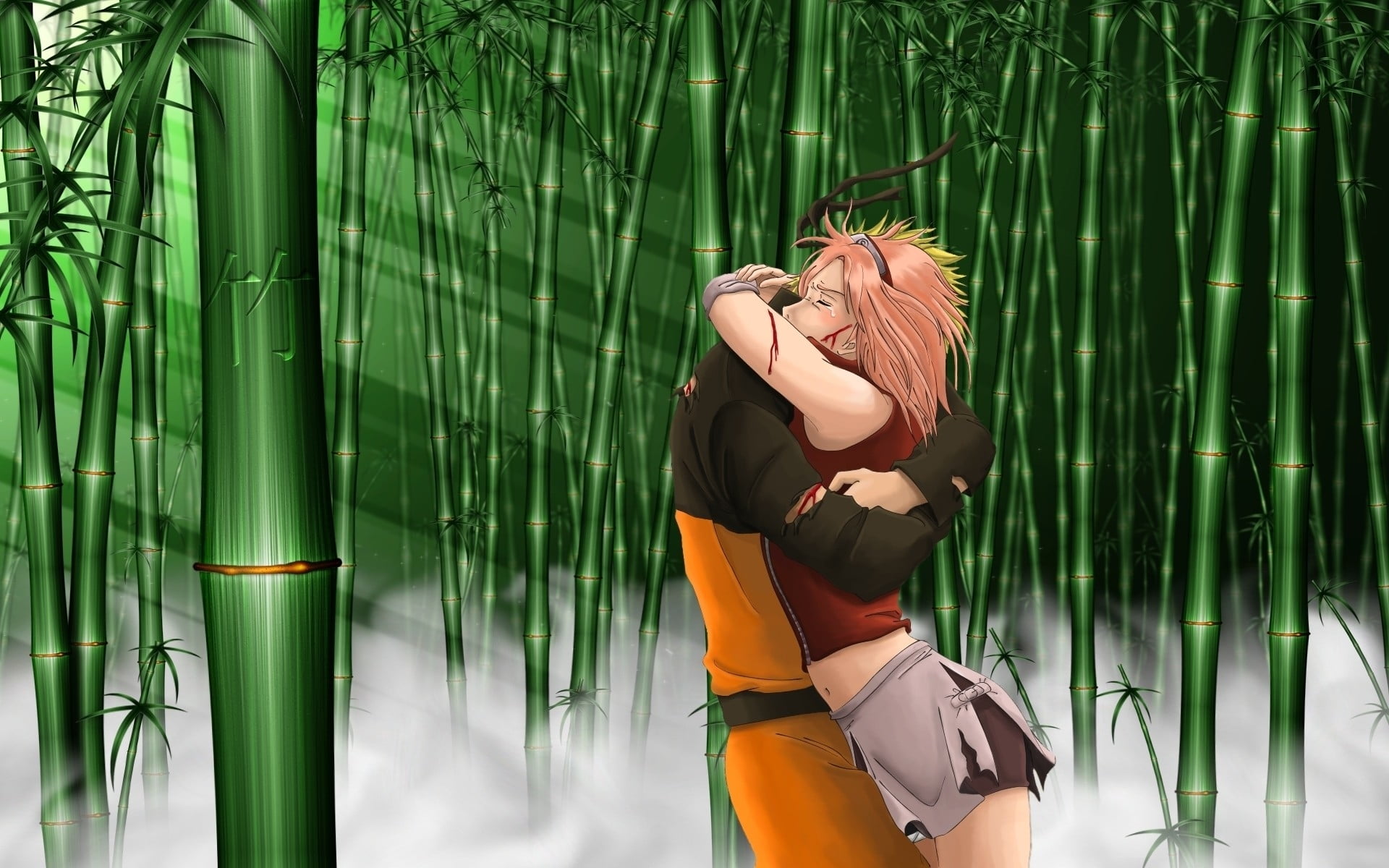 Sakura hugging Naruto at bamboo forest