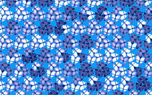 blue, purple, and white butterfly digital wallpaper