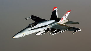 white and red fighter jet, military aircraft, airplane, jets, military