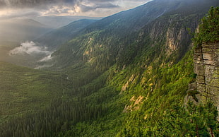 landscape photo of mountain