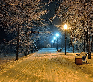 black metal bench, winter, snow, night, street light