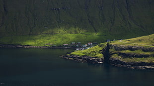 green island near body of water