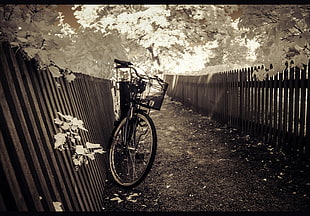 black cruiser bicycle, bicycle HD wallpaper
