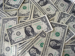 One U.S. Dollar bills HD wallpaper