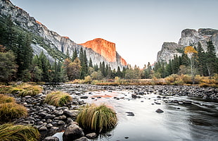 picture of creek during daylight, el capitan HD wallpaper