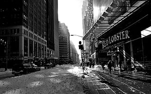 Red Lobster signage, New York City, monochrome, snow, street HD wallpaper