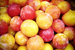 red and yellow round fruit lot, apricot
