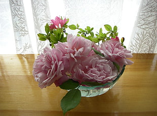 pink Peonies in clear glass vase centerpiece HD wallpaper
