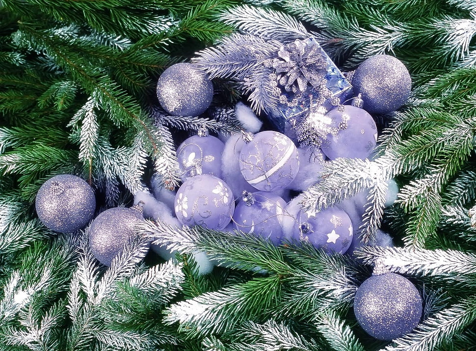 macro photography of purple Christmas baubles on green Christmas tree HD wallpaper