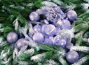macro photography of purple Christmas baubles on green Christmas tree