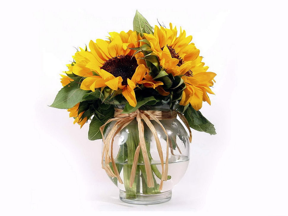 yellow sunflower centerpice HD wallpaper