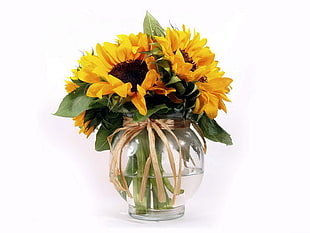yellow sunflower centerpice