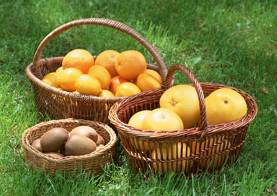 assorted oval and round fruits lot on baskets HD wallpaper