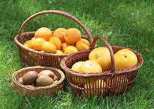 assorted oval and round fruits lot on baskets
