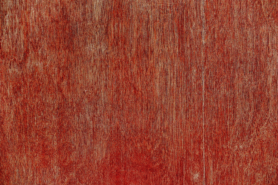 red and white area rug HD wallpaper