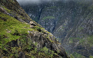 top view of green mountain HD wallpaper
