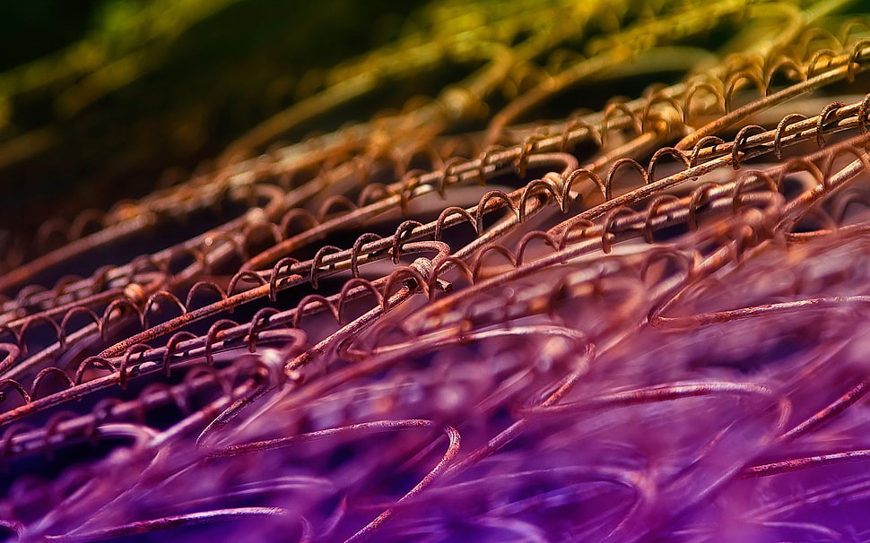 multicolored spring HD wallpaper
