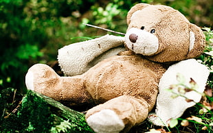 brown bear plush toy HD wallpaper
