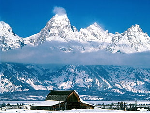 brown shack against mountain alps