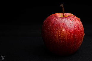 red apple HD wallpaper
