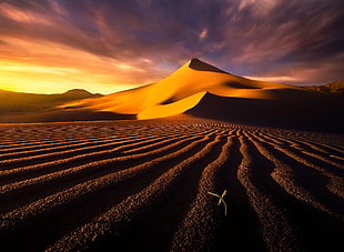 desert, desert, landscape, dune HD wallpaper