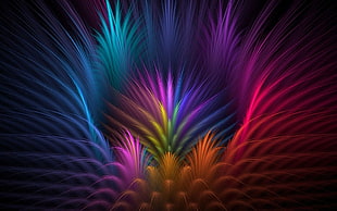 multicolored feather wallpaper, feathers, colorful, abstract