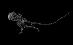 alien poster, render, Xenomorph, aliens, creature HD wallpaper