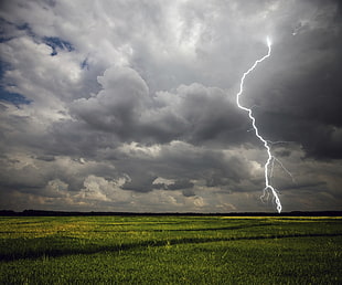 lightning strikes on green field
