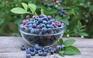 Plum Berries on bowl