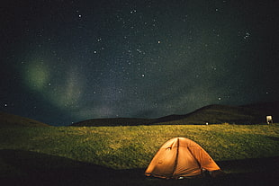 orange dome tent, Tent, Starry sky, Night