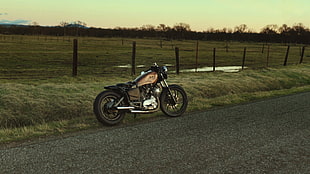 brown cruiser motorcycle, motorcycle, field, road, Bobber