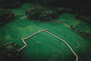 aerial photography of land, landscape, aerial view, farm, trees