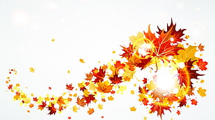 red and yellow autumn leaves illustration, creativity